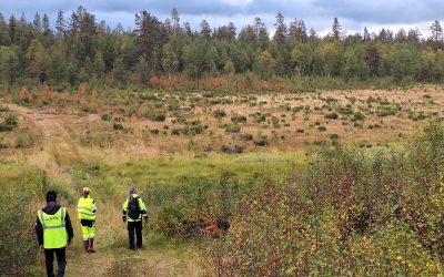 Environmental Fieldwork at Sokli Explores Water Quality and Vegetation Mapping