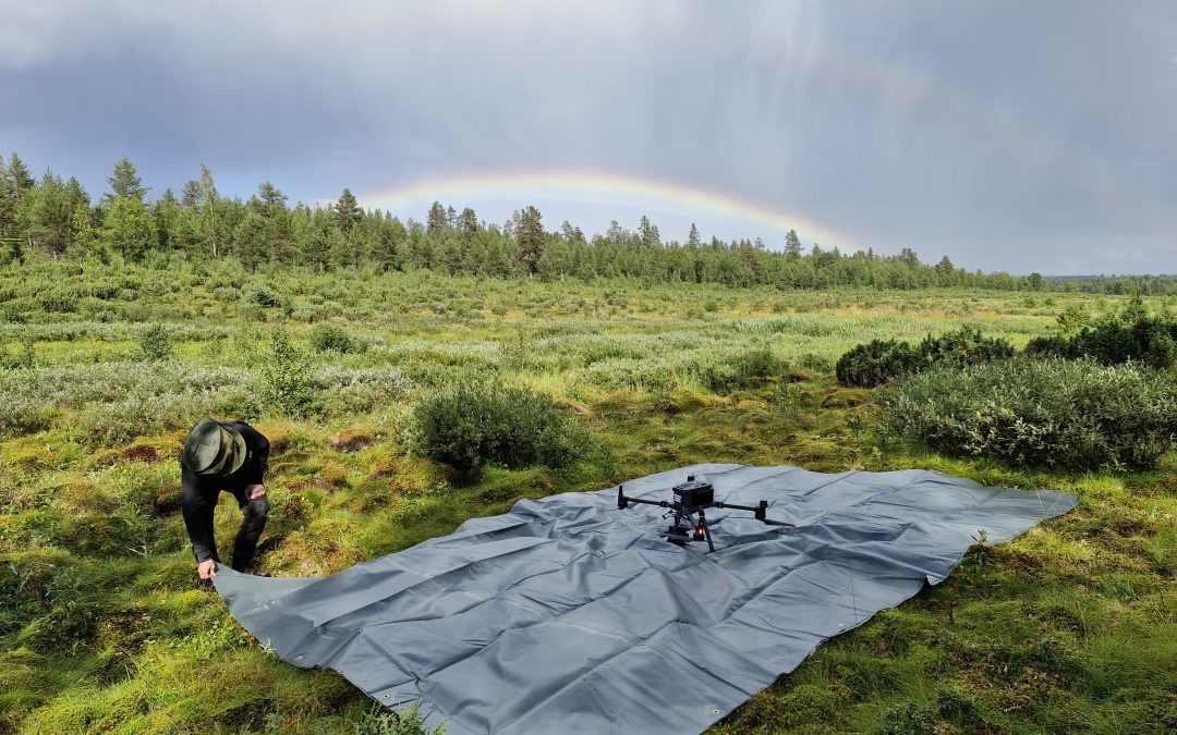 From Space to Soil: Plant Diversity and Rare Species Occurrence  Fieldwork in Sokli